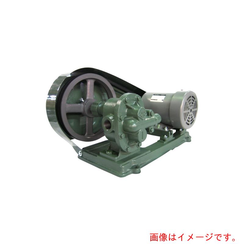 亀嶋鐵工所（NK）　ギヤーポンプ（安全弁付・電動機連結型）　【品番：KA-2S 1/2】