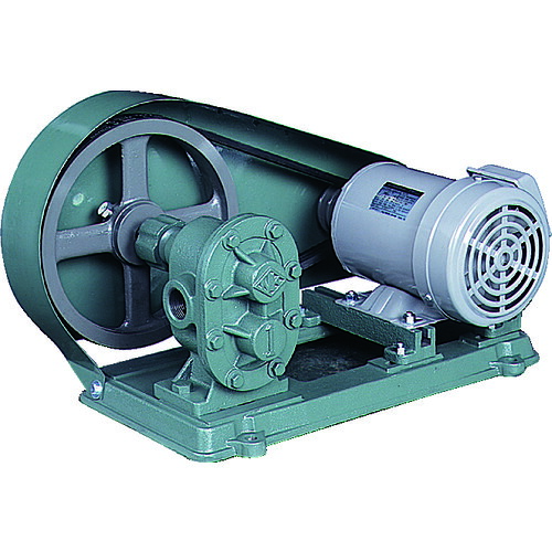 【別途送料あり】亀嶋鐵工所（NK）　ギヤーポンプ（電動機連結型）　口径２５Ａ　【品番：KAS10】