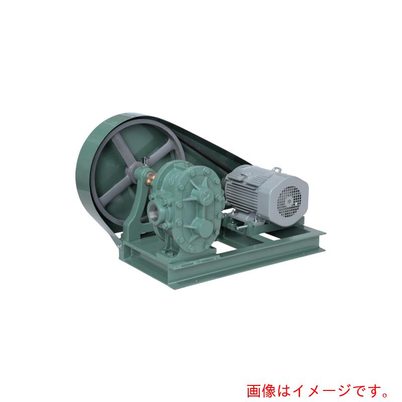 【別途貨物輸送あり】亀嶋鐵工所（NK） ギヤーポンプ（電動機繋ぎ合わせる型） 【品番：ME-1S 21/2】