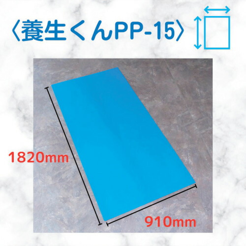 【別途貨物輸送あり】第一聖堂 息抜きくん ＰＰ－１５ 青 １．５×９１０×１８２０ 【10個】 【品番：PP15】