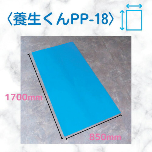 【別途貨物輸送あり】第一聖堂 息抜きくん ＰＰ－１８ 青 １．８×８５０×１７００ 【10個】 【品番：PP18】