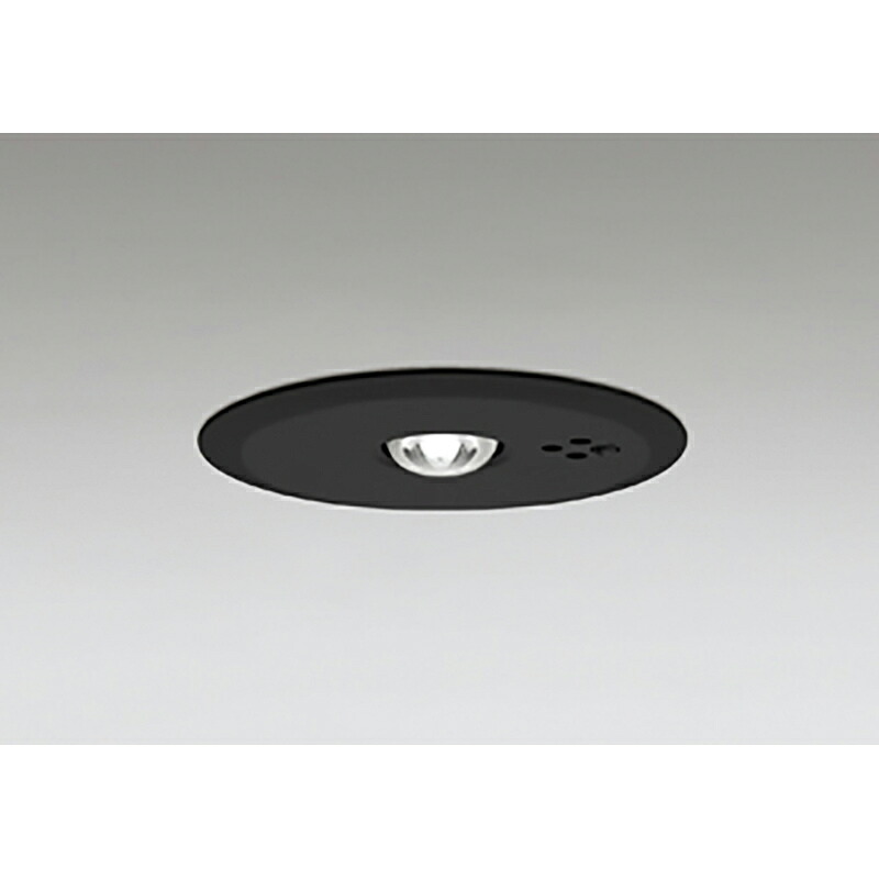 オーデリック　非常用照明器具 誘導灯器具　【品番：OR 036 317K1】