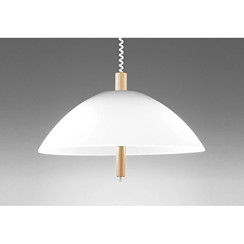 オーデリック　ペンダントライト　【品番：OP 087 150NR】｜住設プロ　店 24,391円