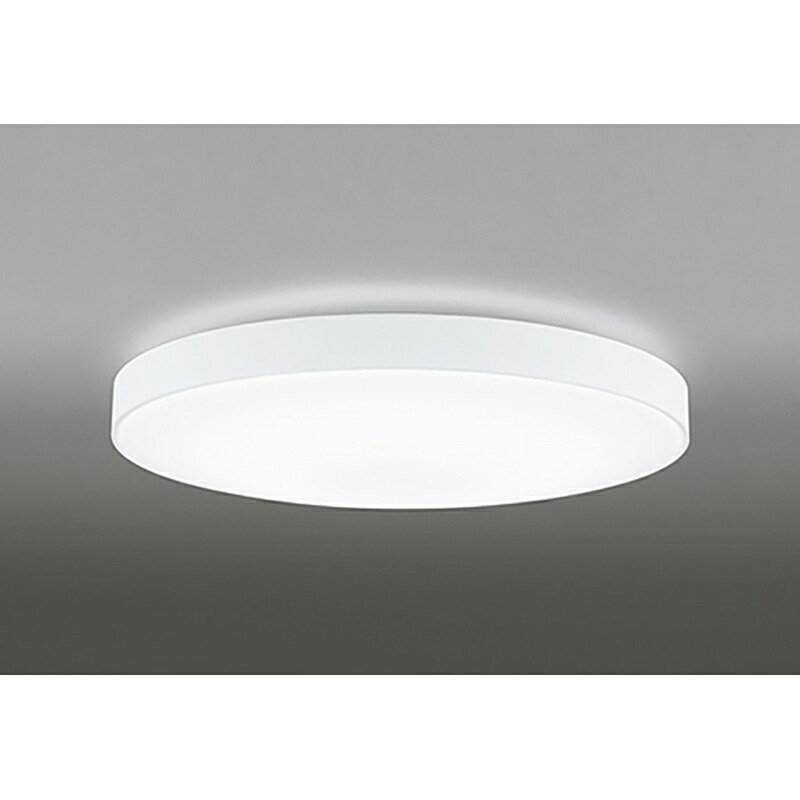 オーデリック　シーリングライト　【品番：OL 251 134R】