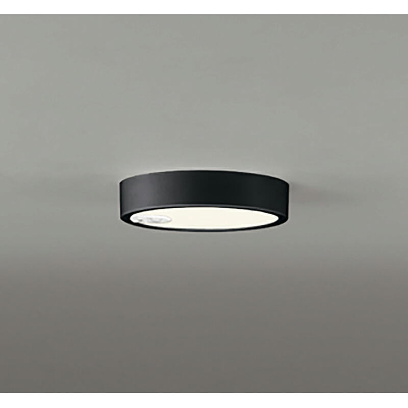 オーデリック　シーリングライト　【品番：OL 251 761R】