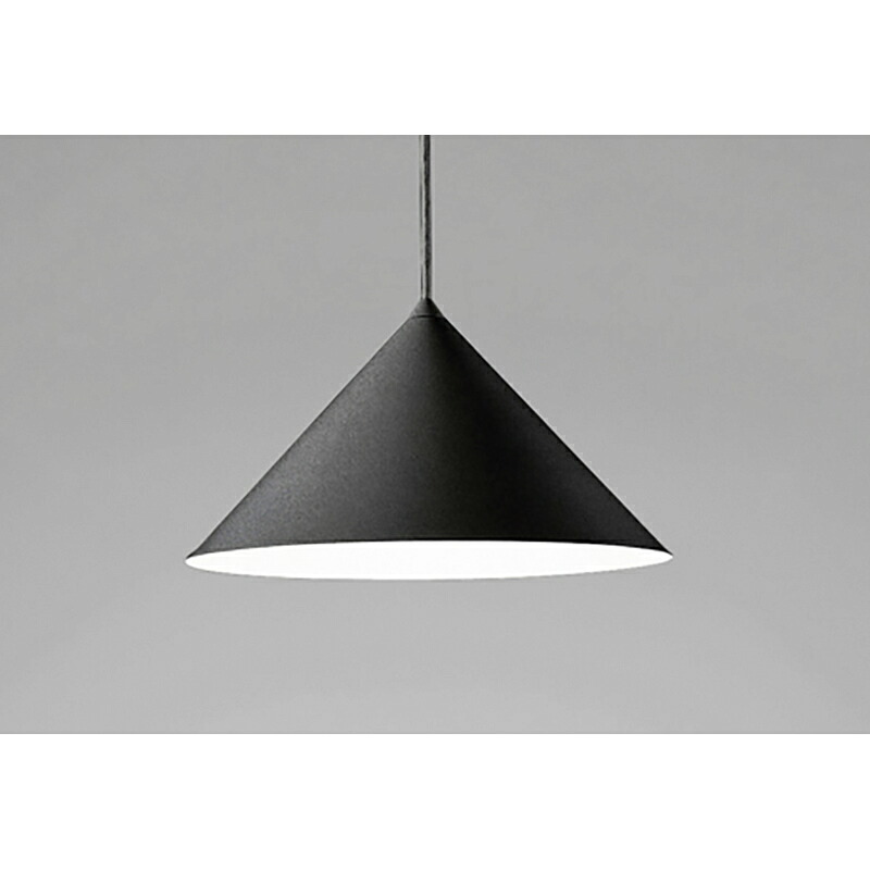 オーデリック　ペンダントライト　【品番：OP 252 891NR】｜住設プロ　店