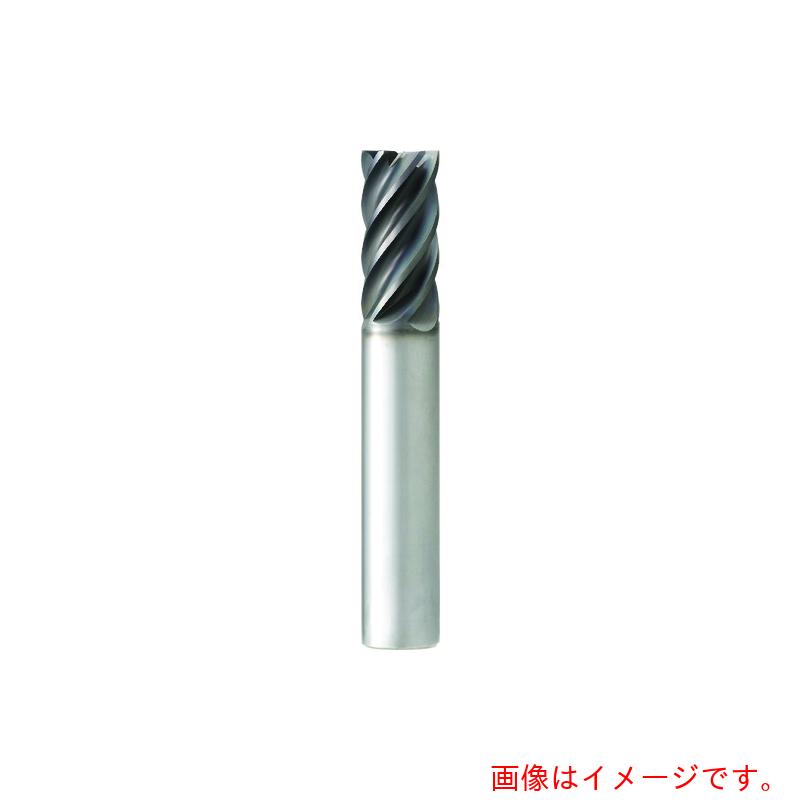 大見工業　大見　超硬不等ピッチ不等リードエンドミル　【品番：OER6R-0100】