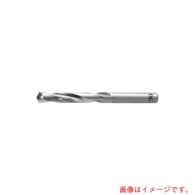 オーエスジー（OSG） 非鉄金属元素製造用超硬せん孔機 並み並み形 ８５８７６１０ 【品番：NF-GDN-6.1】 その他-花・ガーデン・DIY