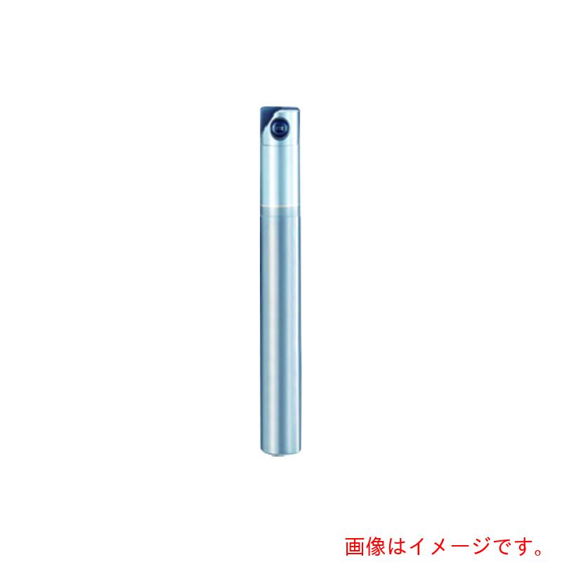 オーエスジー(OSG) PHOENIX 仕上げ用ラジアスエンドミル PFR 超硬シャンク ショートタイプ 7832036 【品番:PFR-R300SS32-S170CS】