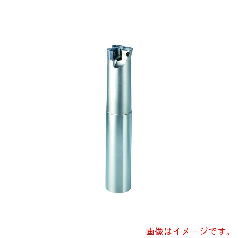 オーエスジー(OSG) 高送りラジアスカッタ ストレートシャンクタイプ 7800726 【品番:PHC09R030SS32-2LL】