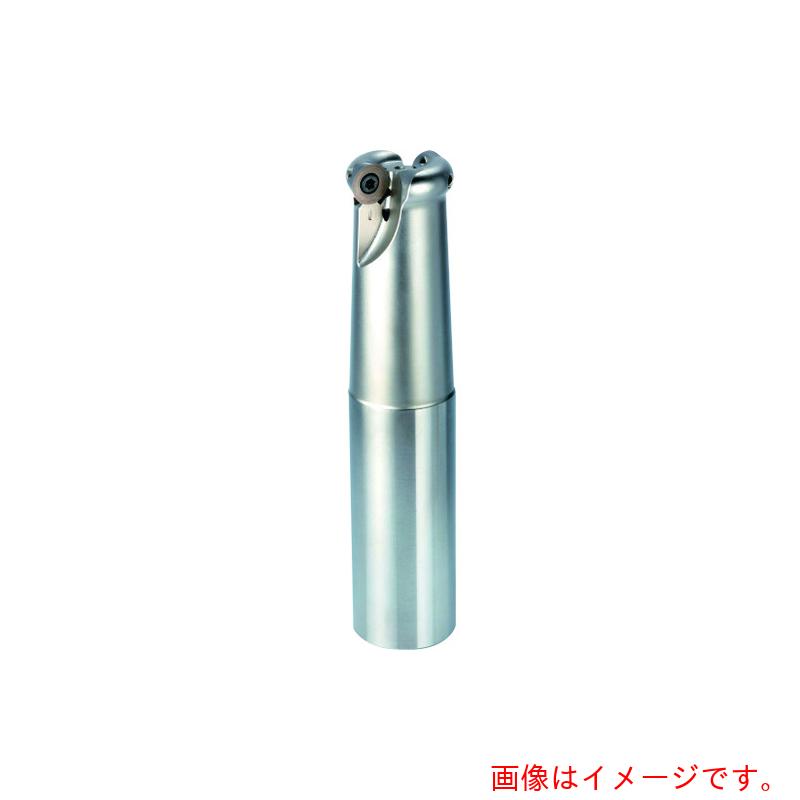 オーエスジー（OSG） 丸駒カッタ ストレートシャンクタイプ ７８００３０２ 【品番：PRC10R032SS32-4S】
