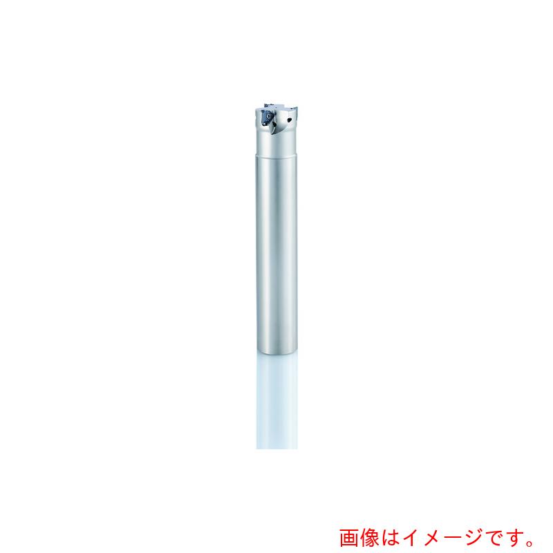 オーエスジー（OSG） ６隅っこ肩削りカッタ ストレートシャンクタイプ ７８０３０２７ 【品番：PSTW  PSTW09R035SS32-4S】