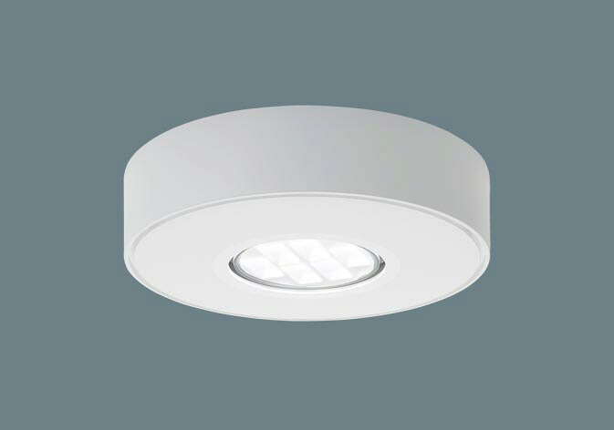 パナソニック　天井直付型 LED（昼白色） 軒下用シーリングライト 楕円配光タイプ 防雨型　【品番：NCW06000LE1】