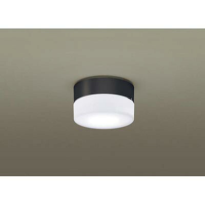 パナソニック　天井直付型 壁直付型 LED（昼白色） シーリングライト 拡散タイプ LEDフラットランプ交換型 防雨型　【品番：XLGE5016CE1（LGW51769B + LLD4000N CE1）】