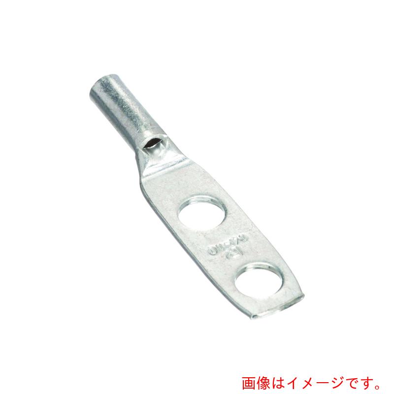 パンドウイットコーポレーション日本支社（PANDUIT）　銅製圧縮端子　２穴　電線サイズ　ＡＷＧ１０　取付穴サイズ　６９ｍｍ　取付穴間隔　１６０ｍｍ　ＬＣＣ１０－１４ＡＷ－Ｌ　【品番：LCC10-14AW-L】 59,869円