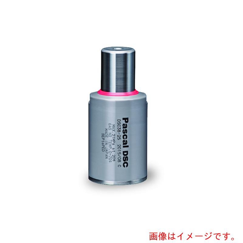 パスカル（Pascal）　ミニガススプリング　モデルＤＳＣ　【品番：DSC32-25-21】