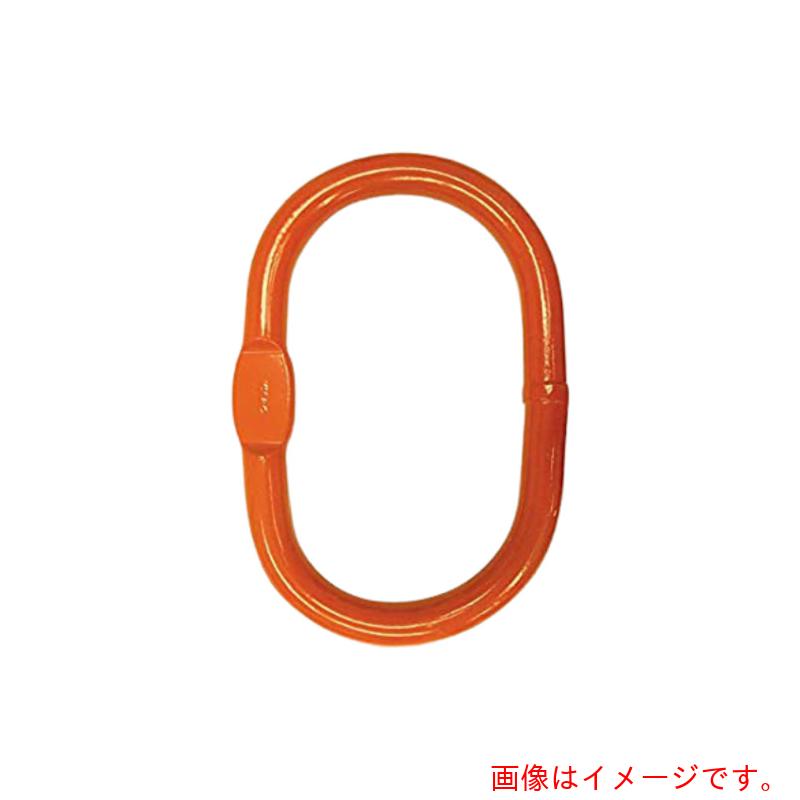 pewag アイタイプ構成部材 マスターリンク A8 W32 【品番:035ZPA8W32】|住設プロ 店