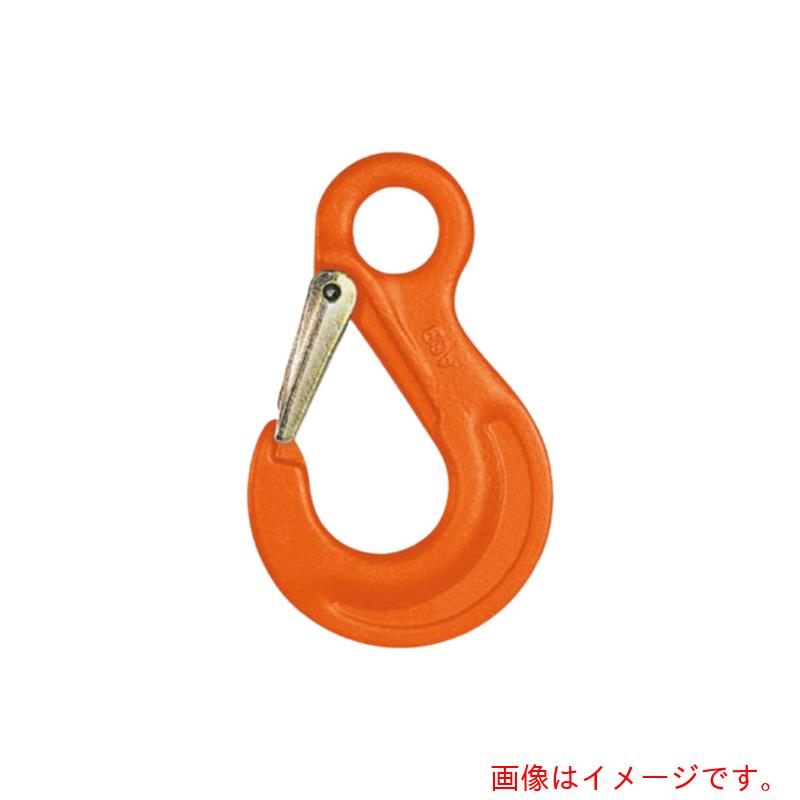 pewag アイタイプ構成部材 アイフック HSW16 【品番:035ZPHSW16】|住設プロ 店