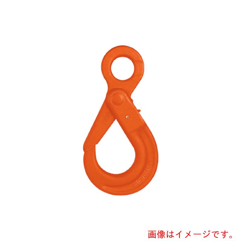 pewag　アイタイプ構成部材　安全フック　ＬＨＷ７－８　【品番：035ZPLHW78】