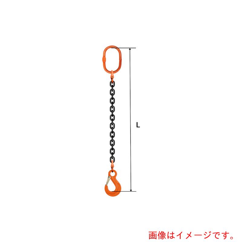 pewag　スリングチェーン　シングル（アイタイプ）　大型マスターリンク　ＳＥ１Ｍ　１６×１．５Ｍ　Ｍ８Ｗ２６・ＨＳＷ１６　【品番：035ZPSE1M161S5】