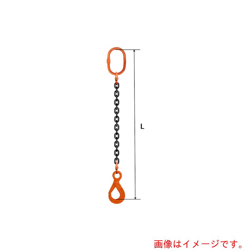 pewag　スリングチェーン　シングル（アイタイプ）　ＳＥ２　５×１．５Ｍ　【品番：035ZPSE2051S5】