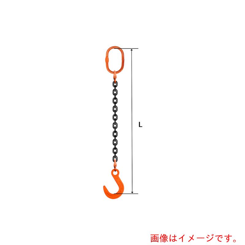 pewag　スリングチェーン　シングル（アイタイプ）　ＳＥ５　８×２．５Ｍ　【品番：035ZPSE5082S5】
