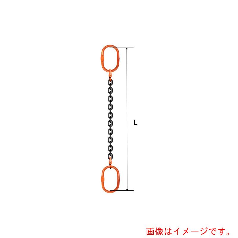 pewag　スリングチェーン　シングル（アイタイプ）　大型マスターリンク　ＳＥ６Ｍ　８×２．５Ｍ　Ｍ８Ｗ１６×２　【品番：035ZPSE6M082S5】