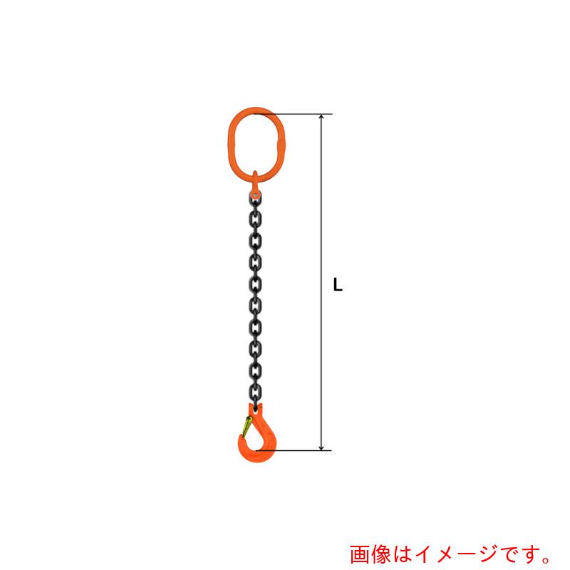 pewag　スリングチェーン　シングル（ピンタイプ）　ＳＰ１Ｍ　１０×２．５Ｍ　【品番：035ZPSP1M102S5】