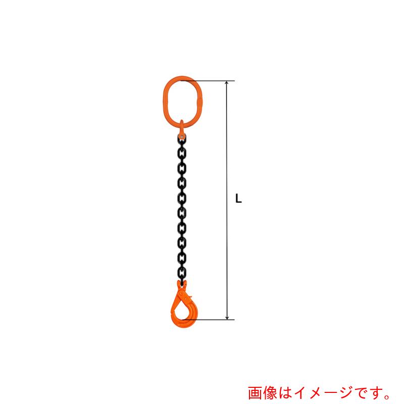 【別途貨物輸送あり】pewag スリングチェーン シングル（ピン手合い） ＳＰ２Ｍ １６×６Ｍ 【品番：035ZPSP2M166】
