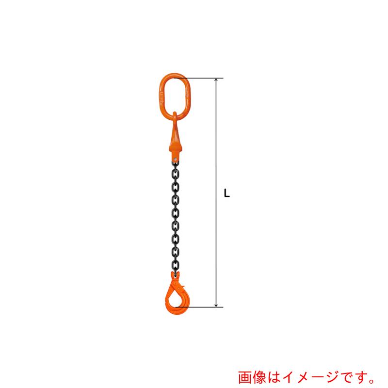 pewag　スリングチェーン　シングル（ピンタイプ）　Ｓ－ＳＰ２Ｒ　６×２Ｍ　【品番：035ZPSSP2R062】 22,597円