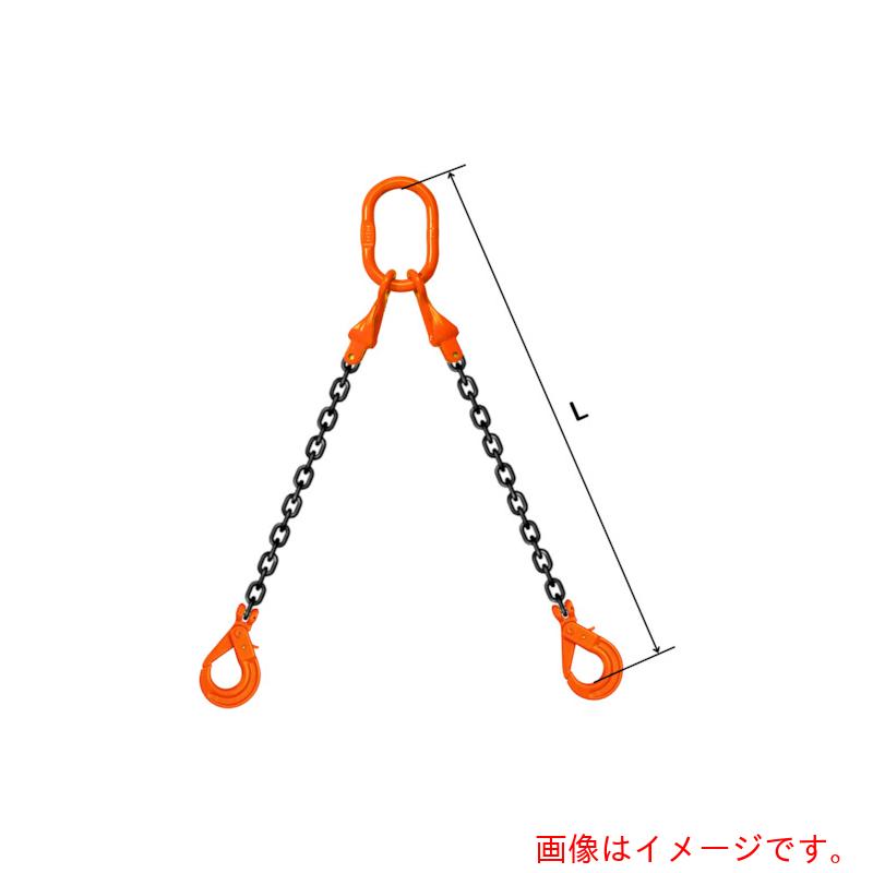 【別途送料あり】pewag　スリングチェーン　ダブル（ピンタイプ）　Ｓ－ＷＰ２Ｒ　１６×４．５Ｍ　【品番：035ZPSWP2R1645】
