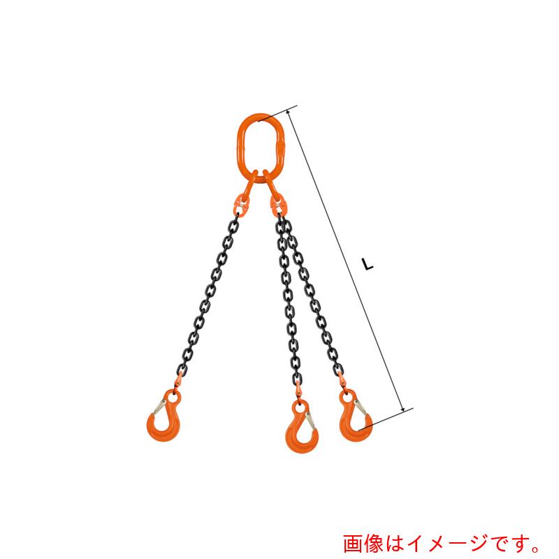 pewag　スリングチェーン　トリプル（アイタイプ）　ＴＥ１　６×５．５Ｍ　【品番：035ZPTE1065S5】 50,932円