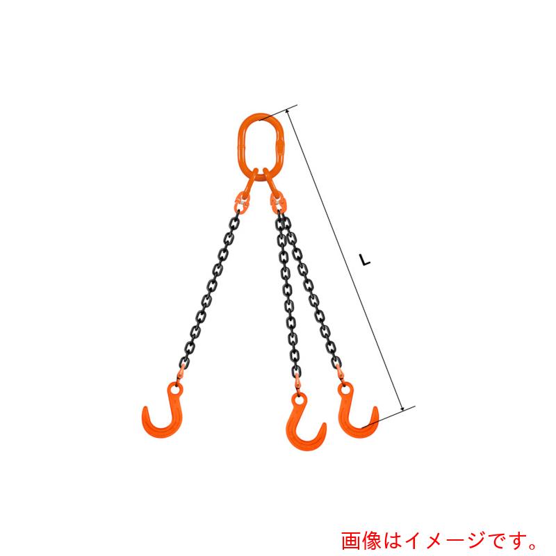 【別途送料あり】pewag　スリングチェーン　トリプル（アイタイプ）　大型マスターリンク　ＴＥ５Ｍ　１６×６Ｍ　ＶＭＷ１６・ＦＷ１６　【品番：035ZPTE5M166】