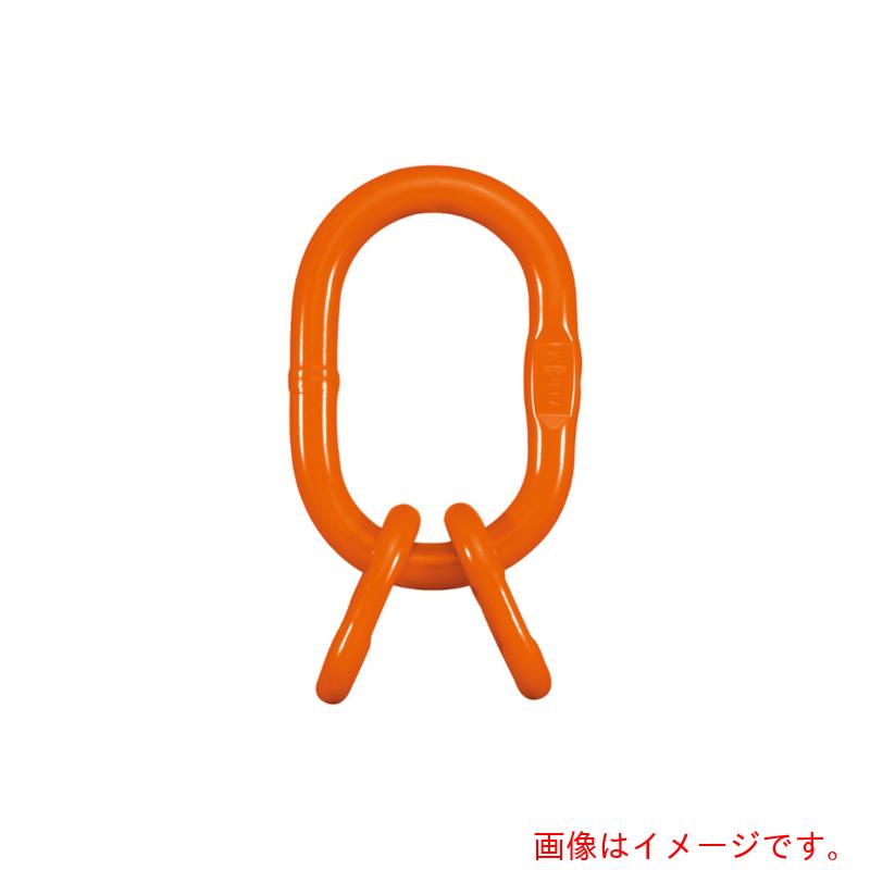 pewag　アイタイプ構成部材　４本吊りセット　３－４本吊用親子リング　ＶＷ１６　【品番：035ZPVW16】