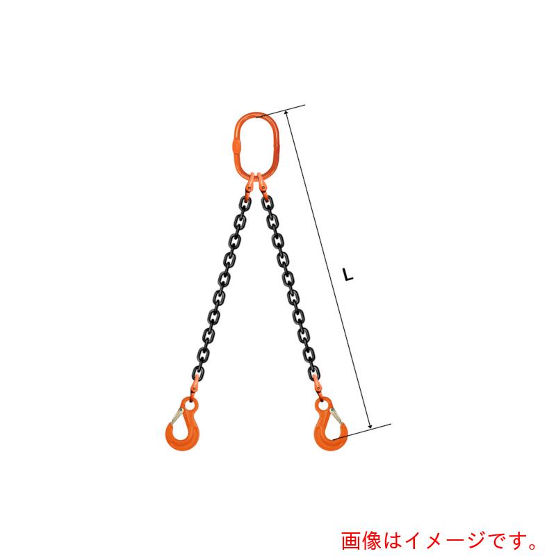 pewag スリングチェーン ダブル（アイタイプ） ＷＥ１ ５×３Ｍ 【品番：035ZPWE1053】