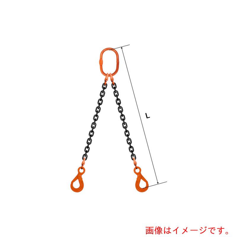 【別途貨物輸送あり】pewag スリングチェーン ダブル（アイタイプ） ＷＥ２ １３×５Ｍ 【品番：035ZPWE2135】
