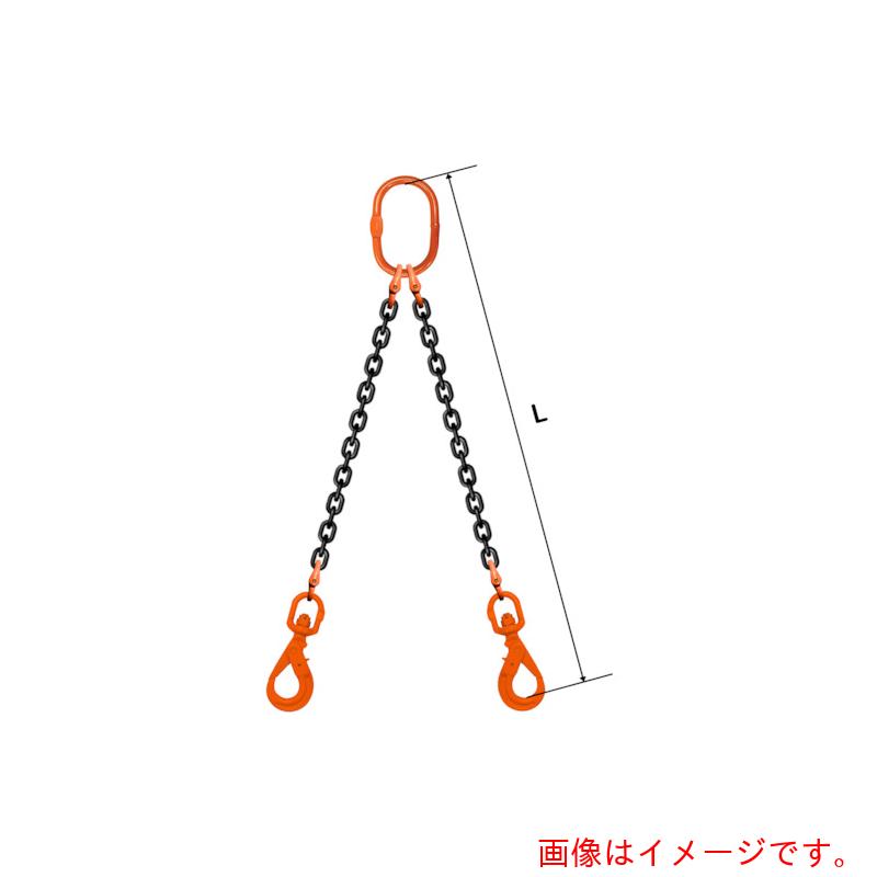 pewag スリングチェーン ダブル（アイタイプ） ＷＥ３ １０×５Ｍ 【品番：035ZPWE3105】 荷締・牽引器具-花・ガーデン・DIY-DIY・工具