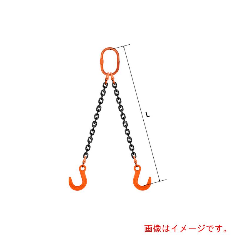 【別途貨物輸送あり】pewag スリングチェーン ダブル（アイタイプ） ＷＥ５ １３×６Ｍ 【品番：035ZPWE5136】