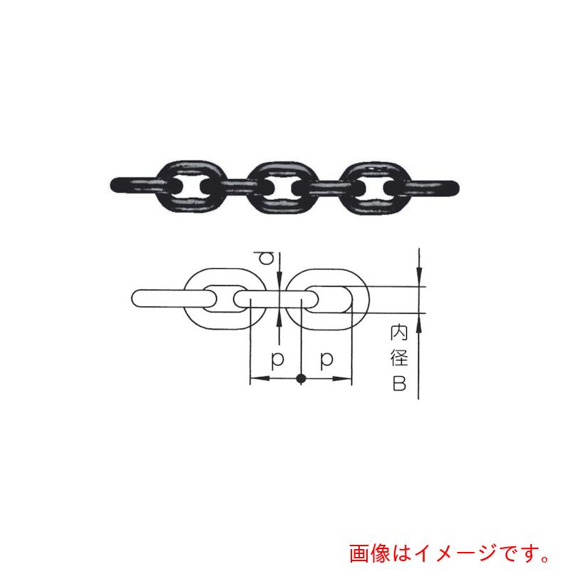 【別途送料あり】pewag　ウィナー・グレード１０　ウィナー２００　１９ｍｍ×５ｍ　【品番：035ZPWIN19005】