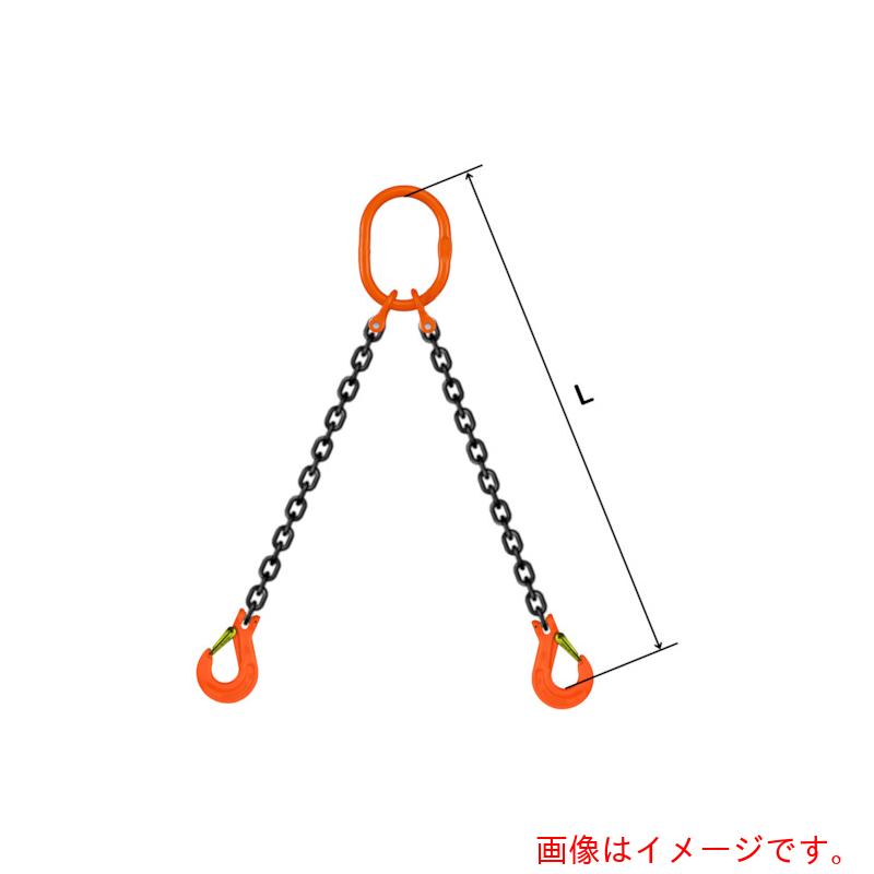 pewag スリングチェーン ダブル（ピン手合い） ＷＰ１Ｍ ６×４．５Ｍ 【品番：035ZPWP1M064S5】