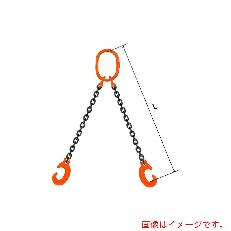 【別途貨物輸送あり】pewag スリングチェーン ダブル（ピン手合い） ＷＰ３Ｍ １６×１．５Ｍ 【品番：035ZPWP3M161S5】