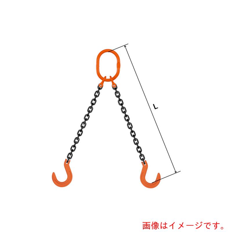 pewag スリングチェーン ダブル（ピン手合い） ＷＰ５Ｍ ８×１．５Ｍ 【品番：035ZPWP5M081S5】