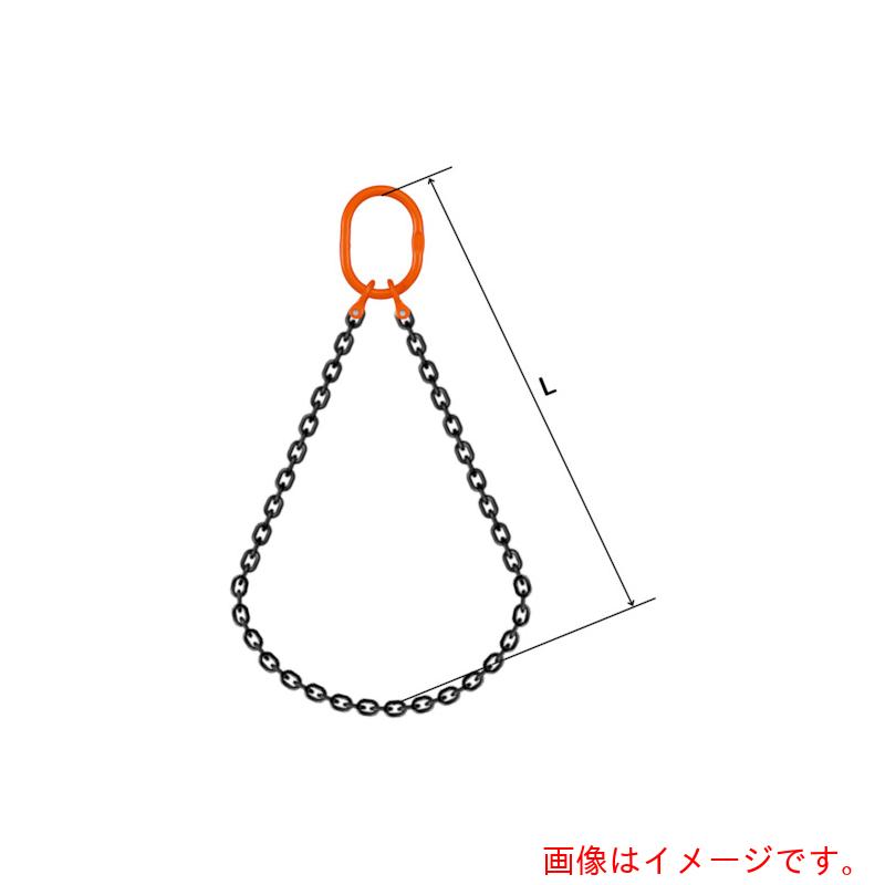 【別途貨物輸送あり】pewag スリングチェーン ダブル（ピン手合い） ＷＰ６Ｍ １６×４．５Ｍ 【品番：035ZPWP6M164S5】