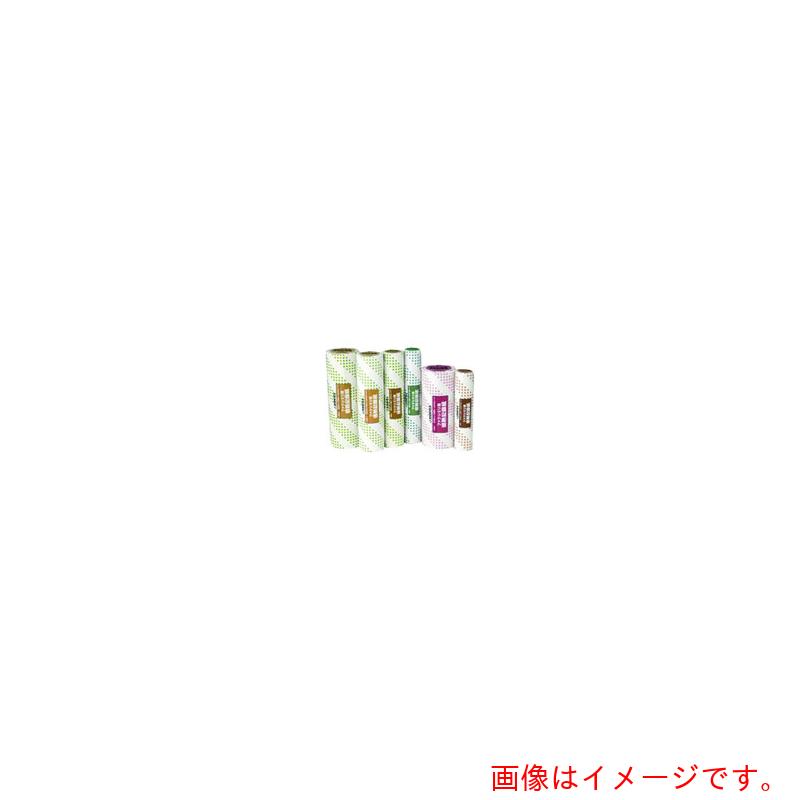 つけ加える（PLUS） ＪＴＸ ２４００４０）ＦＡＸ感熱書きとどめる紙Ａ４ １ｉｎＸ１００ｍＸ６本 Ａ２１３Ｊ６ 【品番：A213J-6】