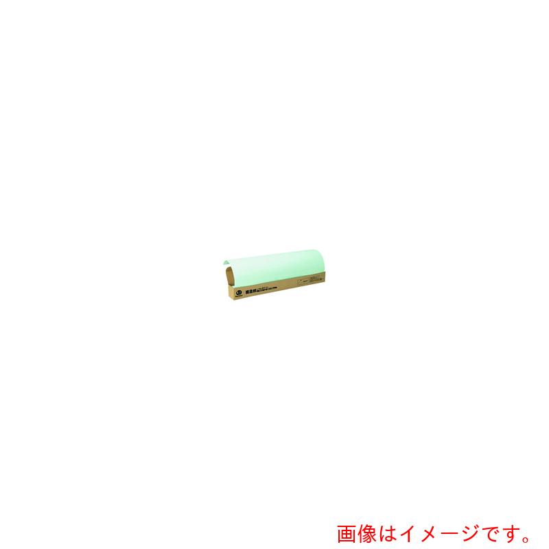 つけ加える（PLUS） ＪＴＸ ８３１１６５）方眼書きうつす紙プルタイプ５０枚ブル－ Ｐ１５２Ｊ－Ｂ６ 【品番：P152J-B6】
