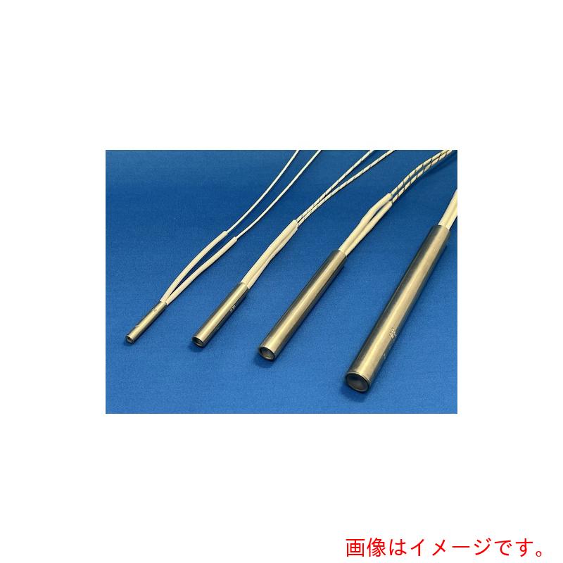 【別途送料あり】RAMAROD　ＲＡＭＡロッドヒーターφ１５．７７×１２７．０　２４０Ｖ７５０Ｗ　【品番：55A50】
