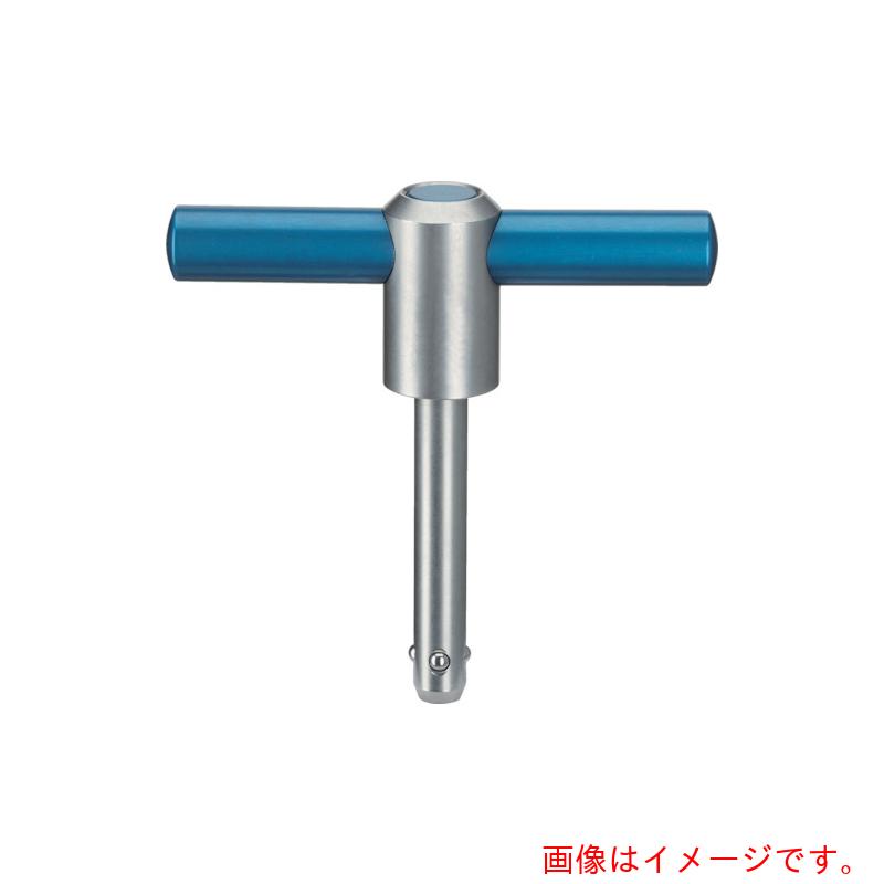 ロームヘルド・ハルダー HALDER リフティングピン 【品番:22351.0005】