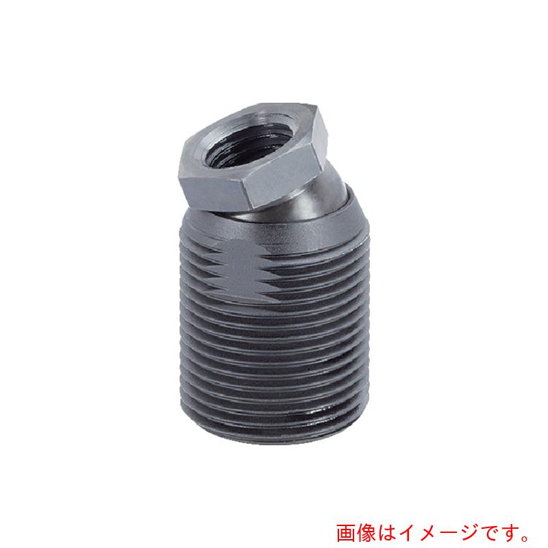 ロームヘルド・ハルダー　ＨＡＬＤＥＲ　ファルクラムねじ　鋼　【品番：22591.0016】