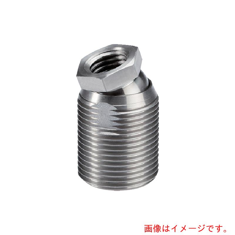 ロームヘルド・ハルダー ＨＡＬＤＥＲ ファルクラムねじ ステンレス鋼鋼 【品番：22591.0216】