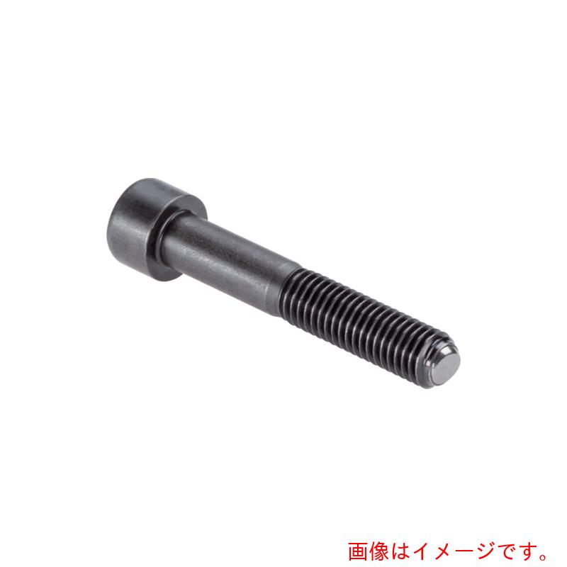 ロームヘルド・ハルダー　ＨＡＬＤＥＲ　セッティングスクリュー　ヘッド付セレーション無　ピン径　Ｍ２０　ピン長さ８００　【品番：22700.0174】 6,153円